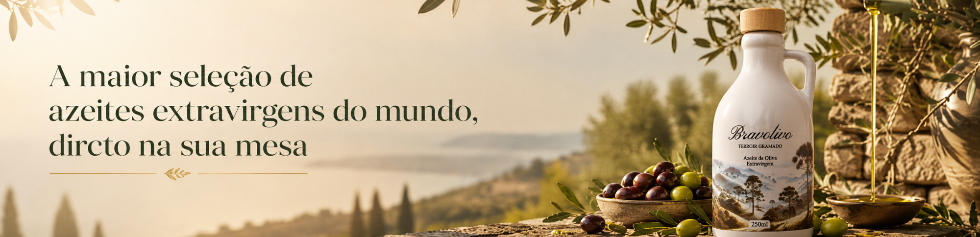 Conheça os Melhores Azeites de Oliva