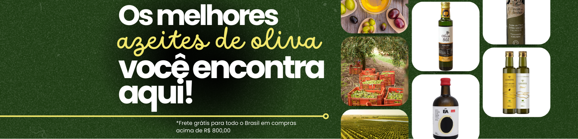 Compre os melhores azeites de oliva do Brasil online